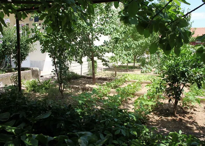 Marjan Hill - Close To Center & Garage Apartmán *